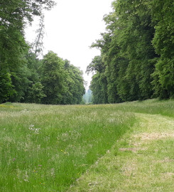 les perspectives de la langue française sont infinies