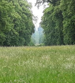 Villers-Cotterêts ordonnance fondatrice valorisant la langue française